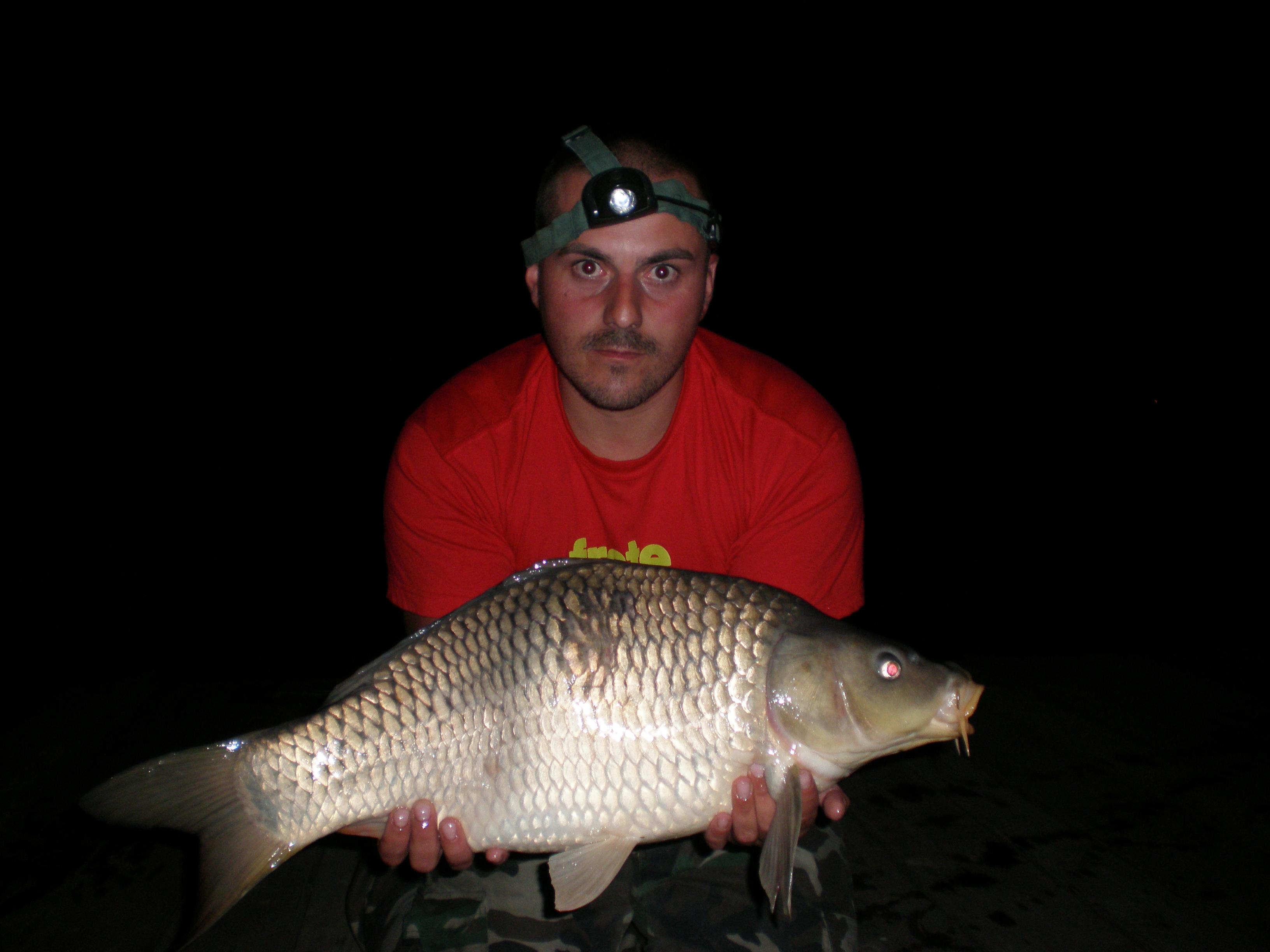 ccarp - P8200091.JPG